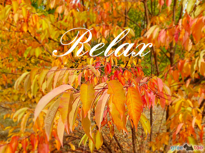 Relax von 1gbpics.com