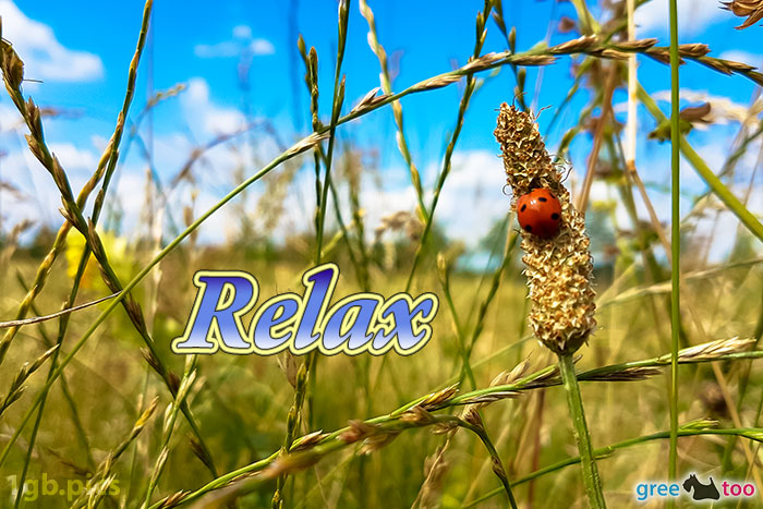 Relax von 1gbpics.com