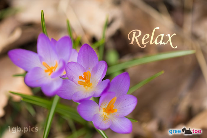 Relax von 1gbpics.com