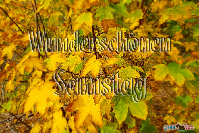 Wunderschoenen Samstag