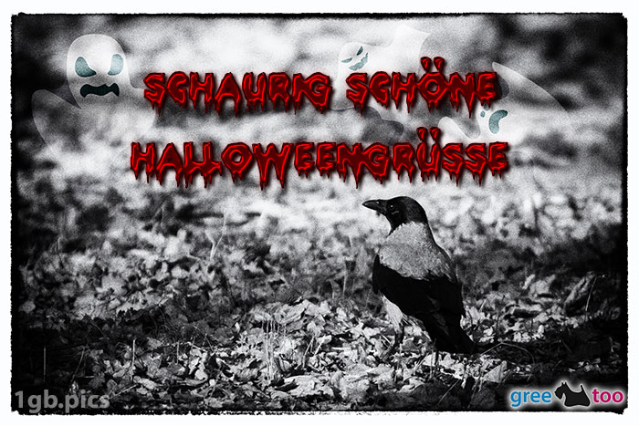 Kraehe Schaurig Schoene Halloweengruesse