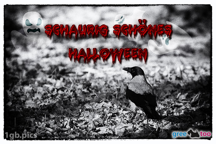 Kraehe Schaurig Schoenes Halloween