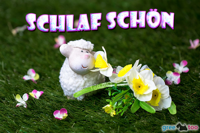 Schlaf Schoen