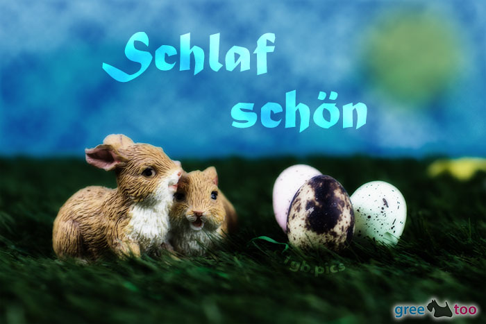 Schlaf Schoen