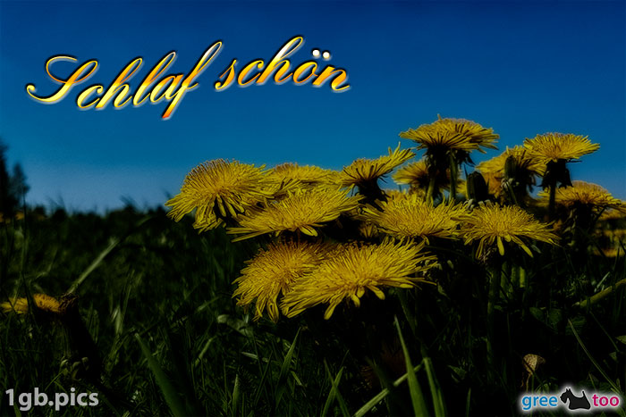 Schlaf schön von 1gbpics.com