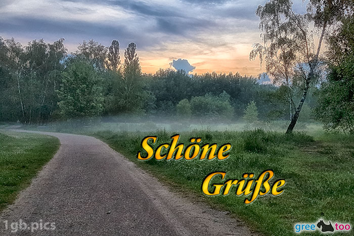 Nebel Schoene Gruesse