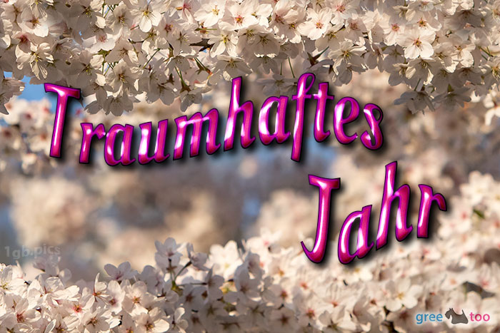 Traumhaftes Jahr