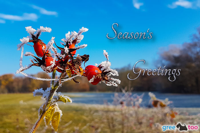 Season's Greetings von 1gbpics.com