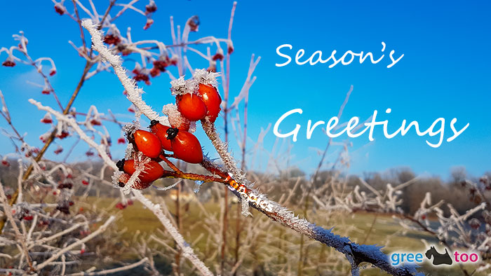 Seasons Greetings