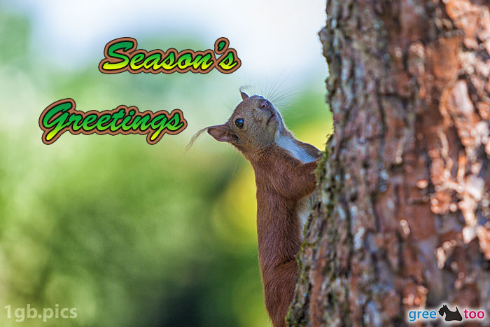 Eichhoernchen Seasons Greetings