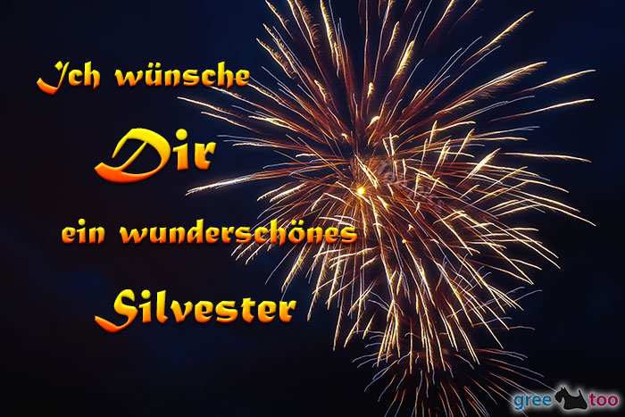 Silvester von 1gbpics.com