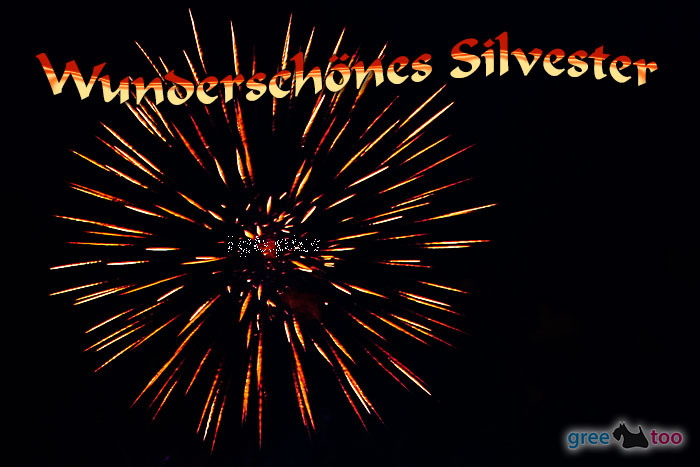 Silvester von 1gbpics.com