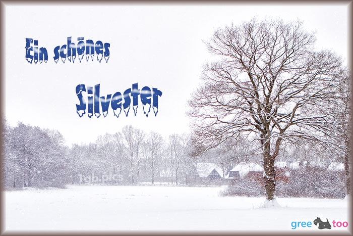 Silvester von 1gbpics.com