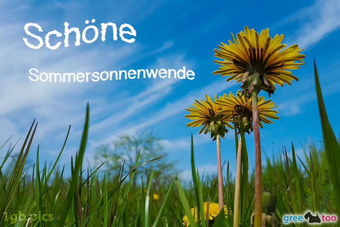 Loewenzahn Himmel Schoene Sommersonnenwende