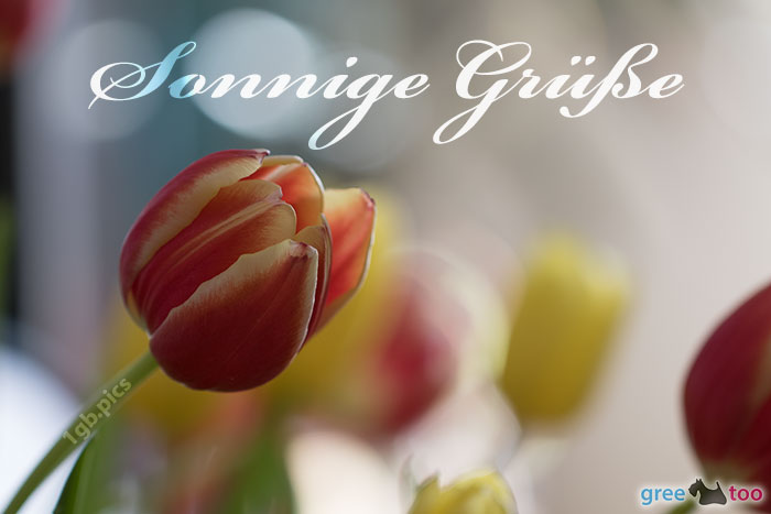 Sonnige Grüße von 1gbpics.com