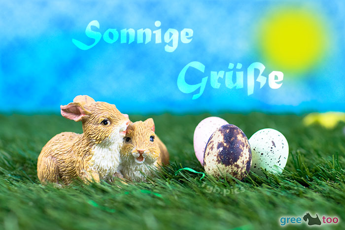 Sonnige Gruesse