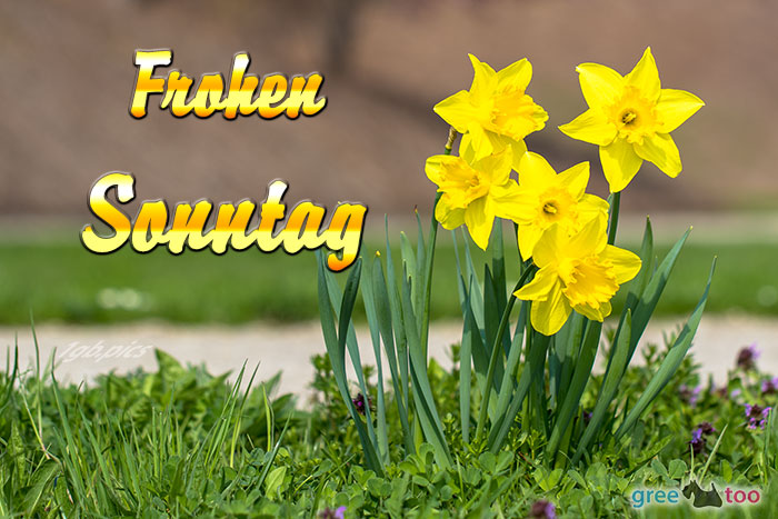 Frohen Sonntag