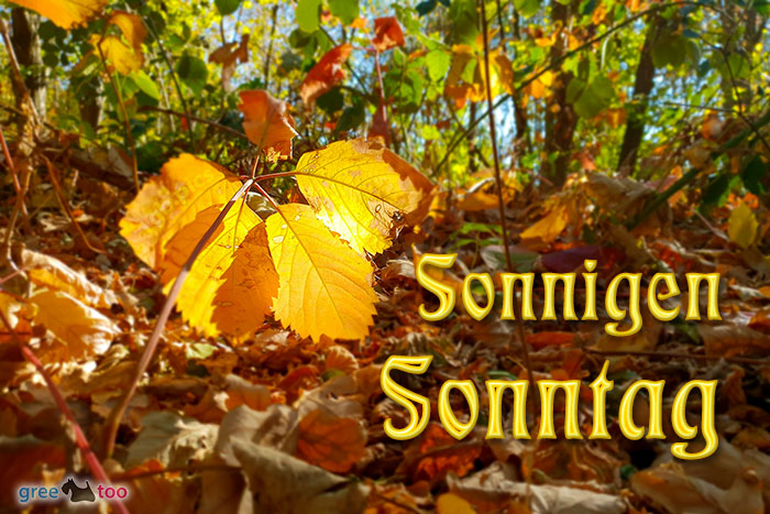 Sonnigen Sonntag