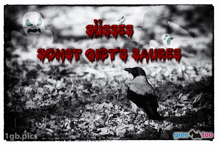 Kraehe Suesses Sonst Saures