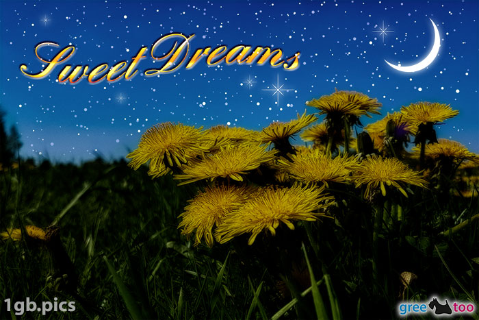 Sweet Dreams von 1gbpics.com