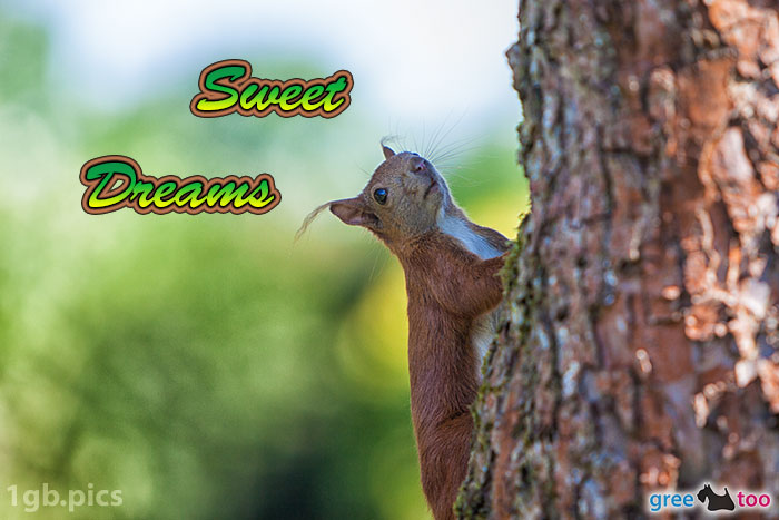 Sweet Dreams von 1gbpics.com