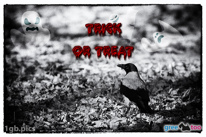 Trick or Treat von 1gbpics.com