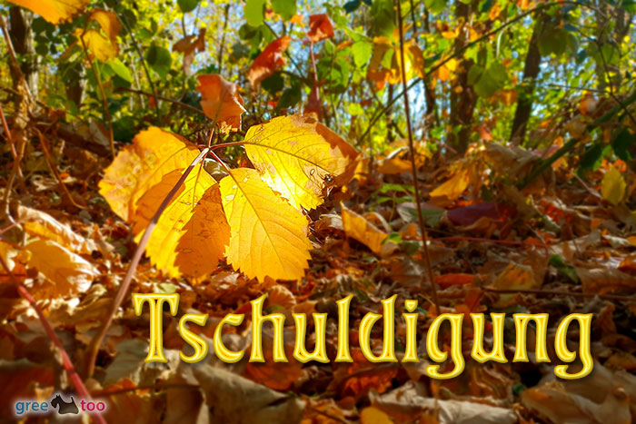 Tschuldigung