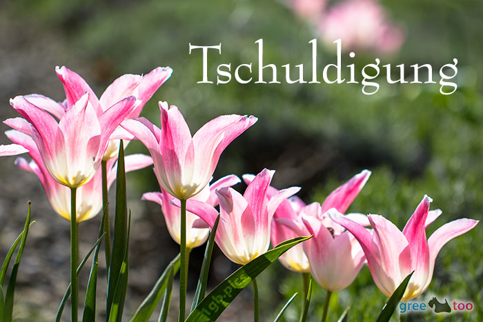 Tschuldigung von 1gbpics.com