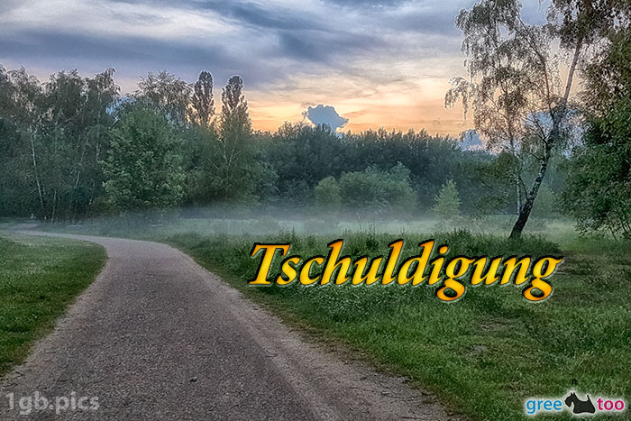 Nebel Tschuldigung