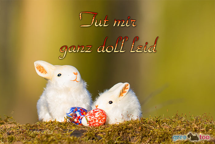 Tut mir ganz doll leid von 1gbpics.com