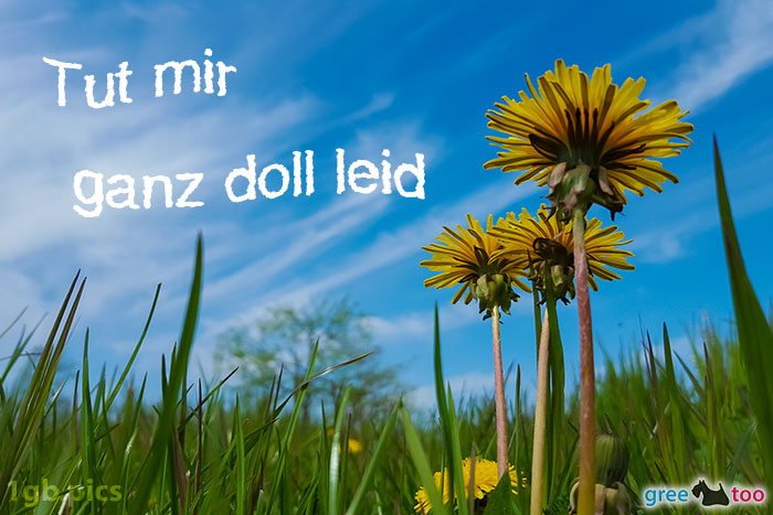 Loewenzahn Himmel Tut Mir Ganz Doll Leid Bild - 1gb.pics
