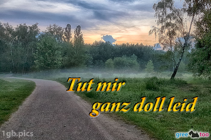 Tut mir ganz doll leid von 1gbpics.com