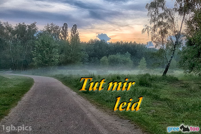 Nebel Tut Mir Leid Bild - 1gb.pics