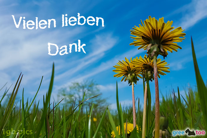 Loewenzahn Himmel Vielen Lieben Dank