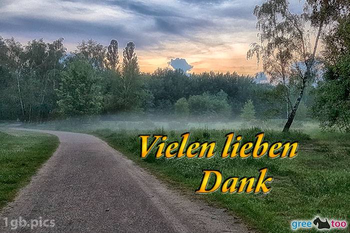 Nebel Vielen Lieben Dank