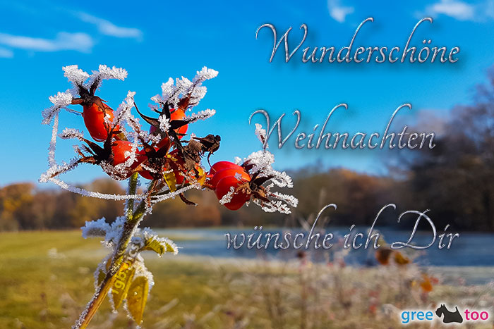 Wunderschoene Weihnachten