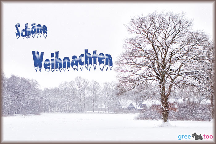 Weihnachten von 1gbpics.com