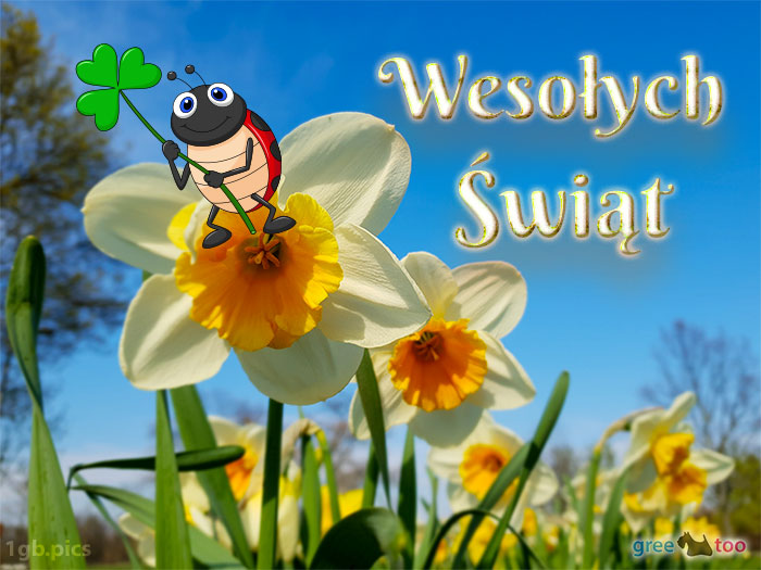 Wesolych Swiat