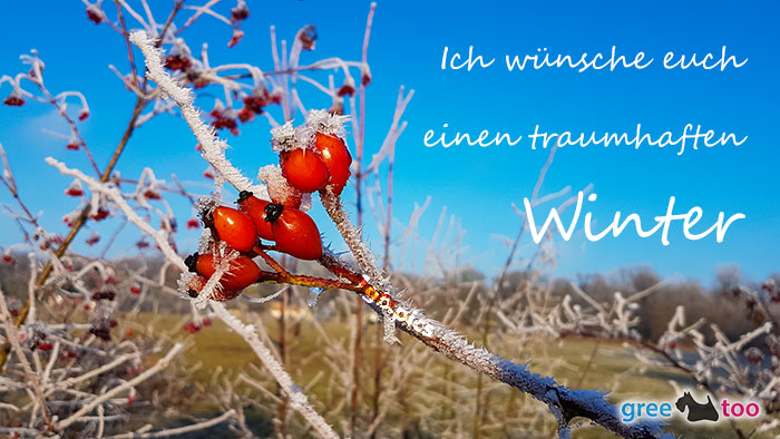 Einen Traumhaften Winter