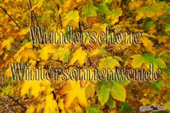 Wunderschoene Wintersonnenwende