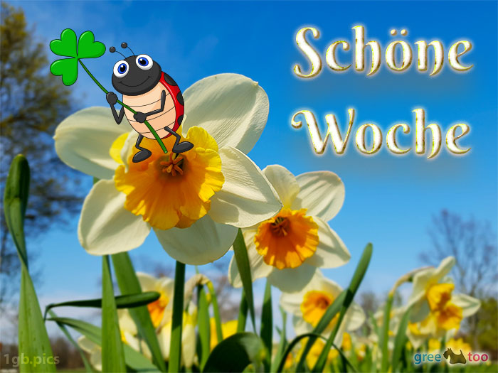 Schoene Woche