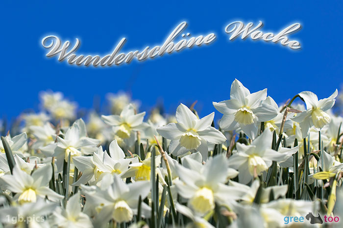 Wunderschoene Woche