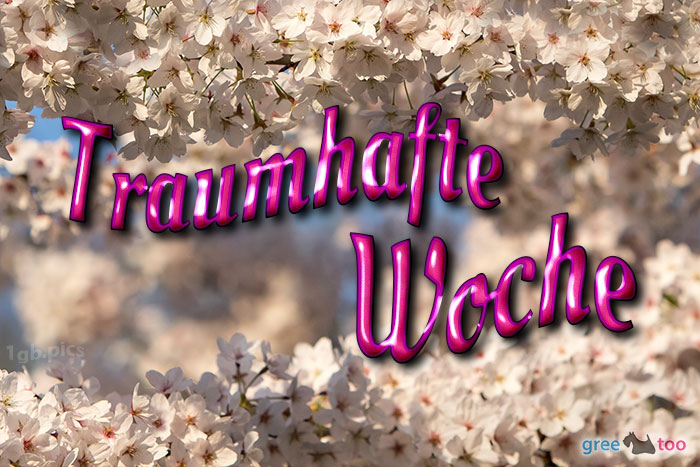 Traumhafte Woche