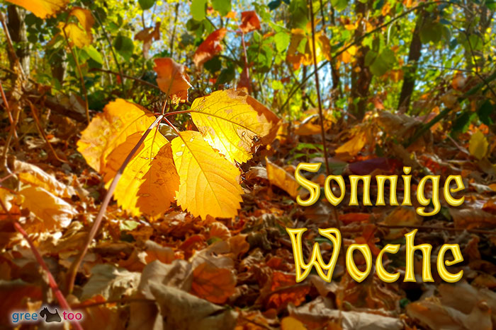 Sonnige Woche