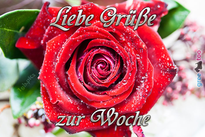 Zur Woche