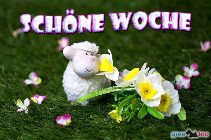 Schoene Woche