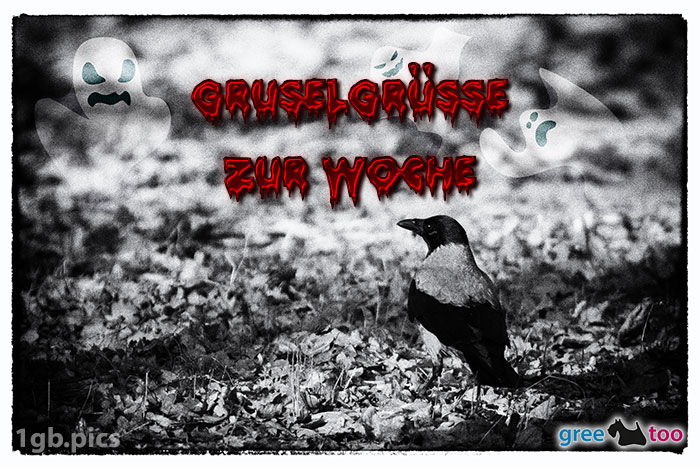 Kraehe Gruselgruesse Zur Woche