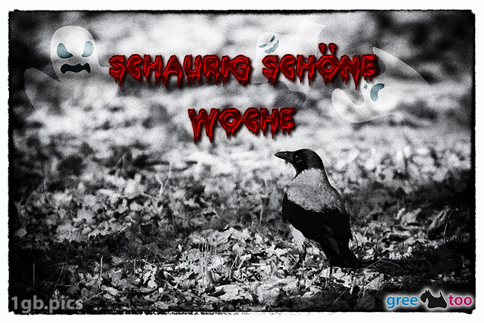 Kraehe Schaurig Schoene Woche