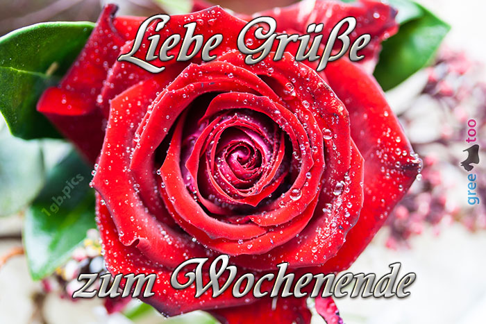 Zum Wochenende