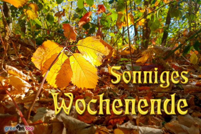 Sonniges Wochenende